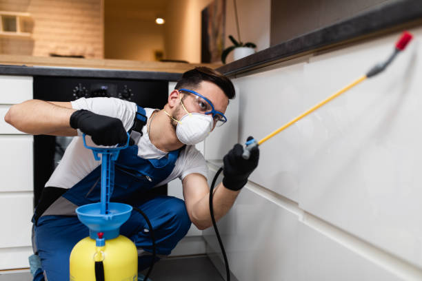 Professional Pest Control in Oneida, TN