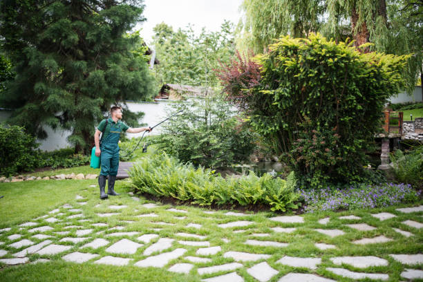 Best Wasp Removal Services  in Oneida, TN