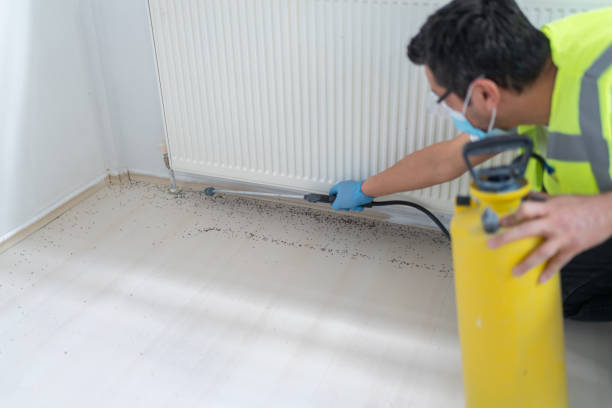 Best Mosquito Control Services  in Oneida, TN